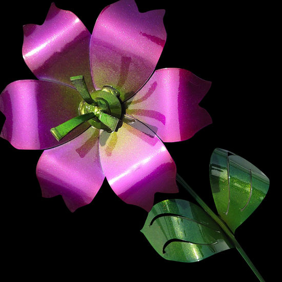 Picture of 22-Short Mutant Plum-Purple Mini Flower