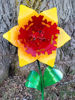 Picture of 22-Short Daffodil-Hotrod