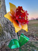 Picture of 22-Short Daffodil-Hotrod