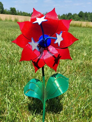 Picture of 22-Short Betsy Patriotic - Blaze of Glory