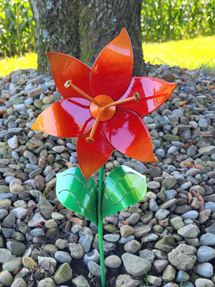 Picture of 22-Short PM Poinsettia Red Orange Mini Flower