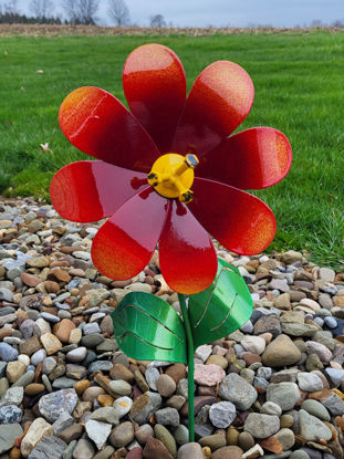 Picture of 22-Short - Hot Red Daisy Yellow Center