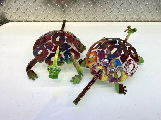 Picture of Mini Turtle Jawbreaker Multi Color Black Spotted