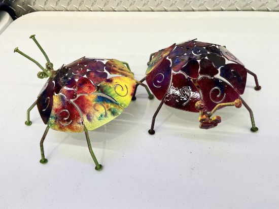 Picture of Jawbreaker Multi Color Ladybug