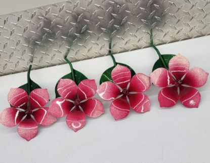 Show details for Micro-25 -  Raspberry Sherbet Picture of Micro-25 -  Raspberry Sherbet