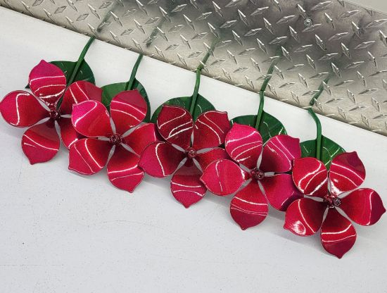 Picture of Micro-25 -  Raspberry Jam