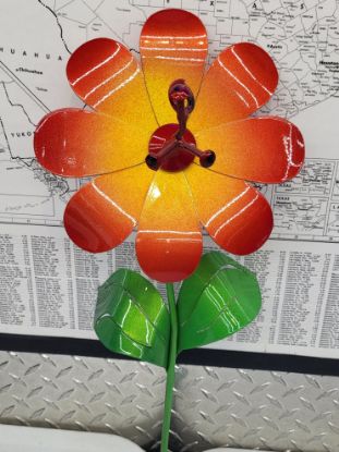 Show details for 22-Short Touch the Sun Daisy Picture of 22-Short Touch the Sun Daisy