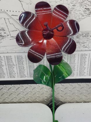 Show details for 22-Short Super Berry Daisy Picture of 22-Short Super Berry Daisy