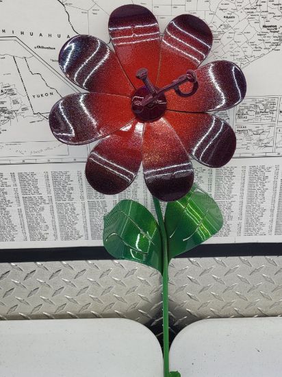 Picture of 22-Short Super Berry Daisy