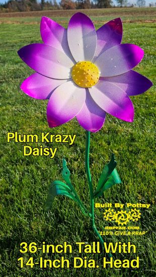 Picture of $100 Cost *PICKUP ONLY! DEPOSIT* Pre-Order- Plum Krazy Daisy