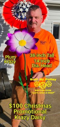 Picture of $100 Cost *PICKUP ONLY! DEPOSIT* Pre-Order- Plum Krazy Daisy