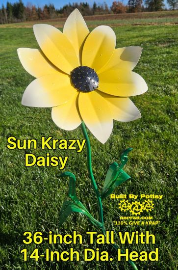 Picture of $100 Cost *PICKUP ONLY! DEPOSIT* Pre-Order- Sun Krazy Daisy