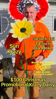 Picture of $100 Cost *PICKUP ONLY! DEPOSIT* Pre-Order- Sun Krazy Daisy