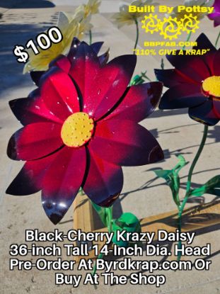Picture of $100 Cost *PICKUP ONLY! DEPOSIT* Pre-Order- Black-Cherry Krazy Daisy