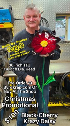 Picture of $100 Cost *PICKUP ONLY! DEPOSIT* Pre-Order- Black-Cherry Krazy Daisy