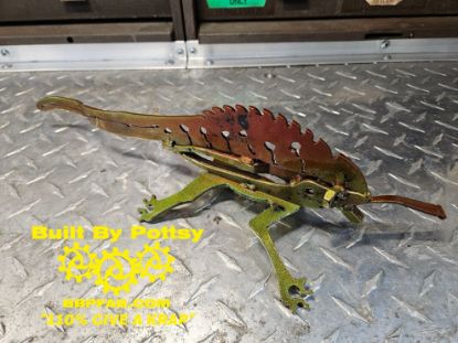 Picture of Baby Lizard Critter