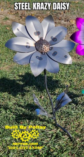 Picture of $100 Cost *PICKUP ONLY! DEPOSIT* Pre-Order- Steel Krazy Daisy