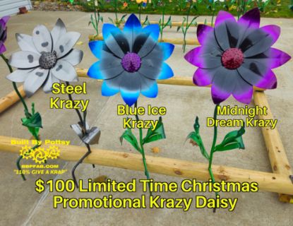 Picture of $100 Cost *PICKUP ONLY! DEPOSIT* Pre-Order- Midnight Dream Krazy Daisy
