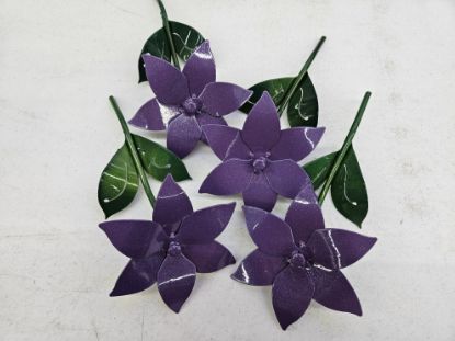 Picture of Plum Happy - 6-Petal Micro -25 Flower