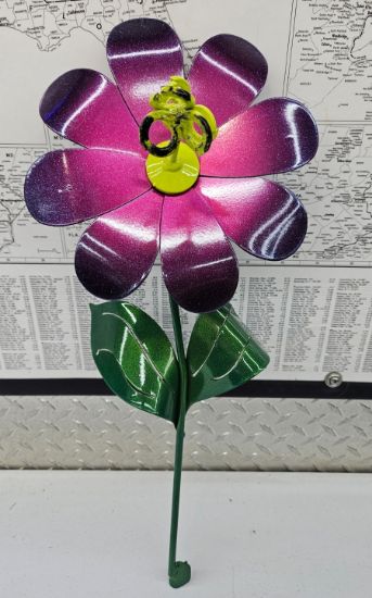 Picture of 22-Short Pink Chrome Berry Daisy