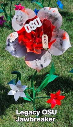 Picture of $150 Cost *PICKUP ONLY! DEPOSIT* OSU Silver Jawbreaker - Our Super Universal Legacy Flower- - Pre-Order