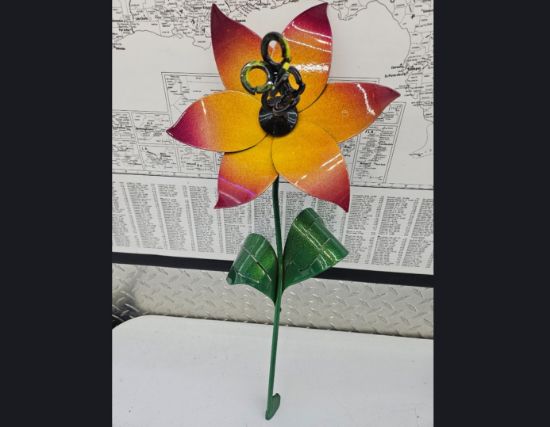 Picture of 22-Short PM Poinsettia Burnt Cherry Sun