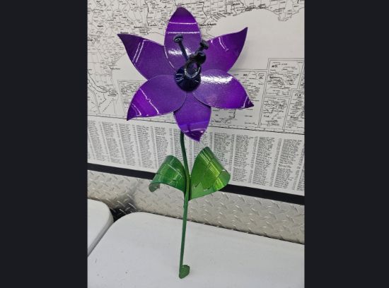 Picture of 22-Short PM Poinsettia Purple Addiction