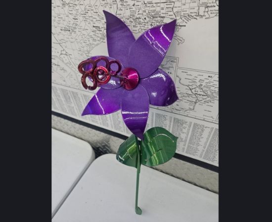 Picture of 22-Short PM Poinsettia Purple Chrome Pink
