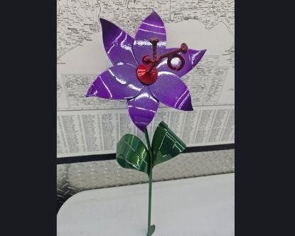 Picture of Val-26 Featured Item - Poinsettia Purple Blood