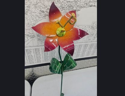 Picture of 22-Short PM Poinsettia Orange Berry Lime