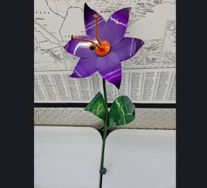Picture of 22-Short PM Poinsettia Krazy Purple Awesome Orange 3-Point Center