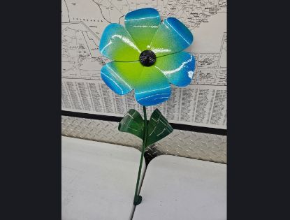 Picture of 22-Short Poppy  Bright Lime Blue Black Center