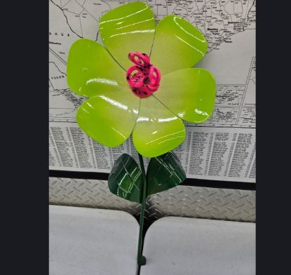 Picture of 22-Short Poppy Lime Krazy Pink Center