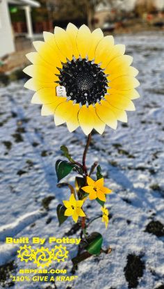 Picture of Pottsy Sunflower Hospice Raffle $1