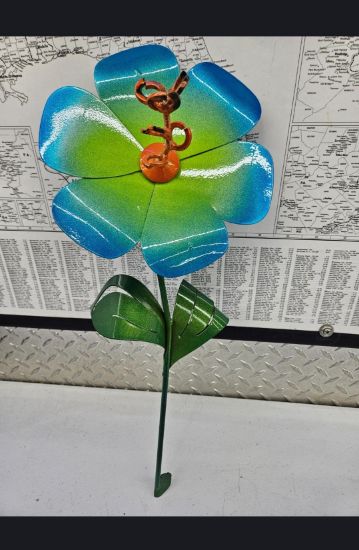 Picture of 22-Short Poppy Orange Center Bright Lime Blue