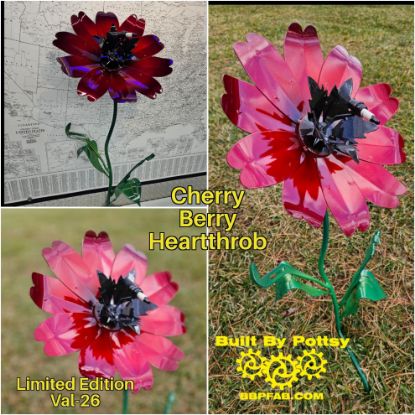 Picture of $125 Cost *PICKUP ONLY! DEPOSIT* Val-26 Cherry Berry Heartthrob - Pre-Order