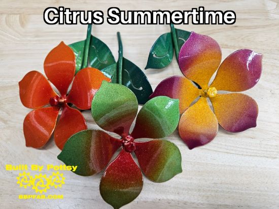 Picture of Citrus Summertime Combo Pack Micro-25