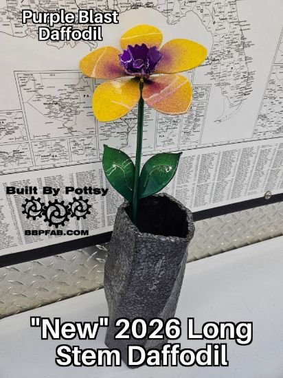 Picture of Purple Blast Daffodil Long Stem