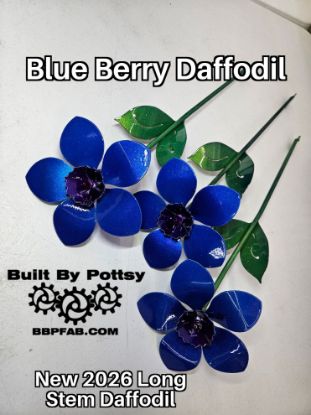 Picture of Blue Berry Daffodil Long Stem