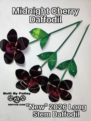 Picture of Midnight Cherry Daffodil Long Stem