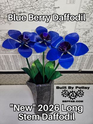 Picture of 3-Pack - Blue Berry Daffodil Long Stem