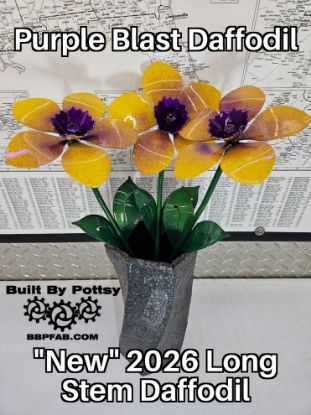 Picture of 3-Pack - Purple Blast Daffodil Long Stem