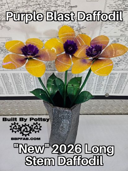 Picture of 3-Pack - Purple Blast Daffodil Long Stem