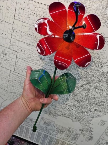 Picture of 22-Short Sun Berry Daisy Black Center