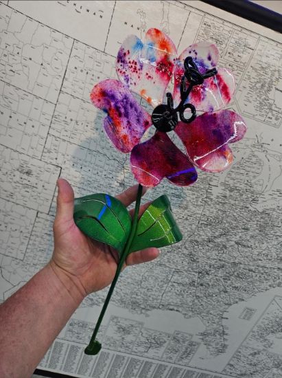 Picture of 22-Short Cotton Candy Black Heart