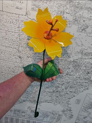 Picture of 22-Short Orange Bright Sun Mutant