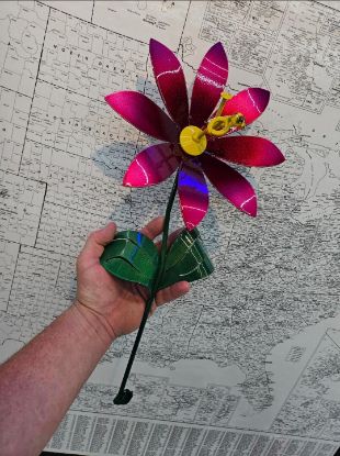 Picture of 22-Short Berry Pink Chrome Daisy Yellow Center