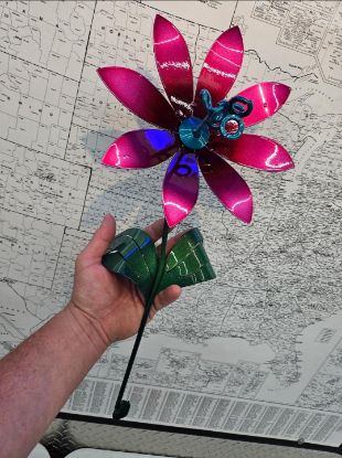 Picture of 22-Short Berry Pink Chrome Daisy Teal Center