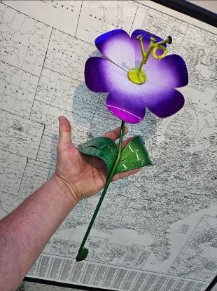 Picture of 22-Short Poppy Cream Purple Lime