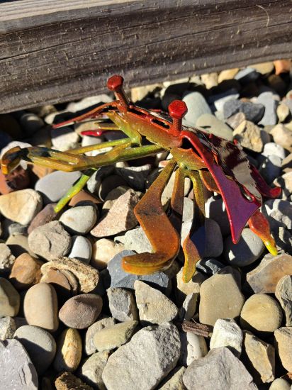Picture of Critter Crab- Deep Red